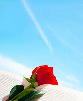 Rosa roja apoyada sobre libro con fondo de cielo
